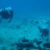 Picture taken during the dive
