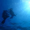 Picture taken during the dive