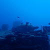 Picture taken during the dive