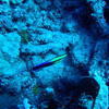 Picture taken during the dive
