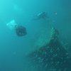 Picture taken during the dive
