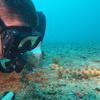 Picture taken during the dive