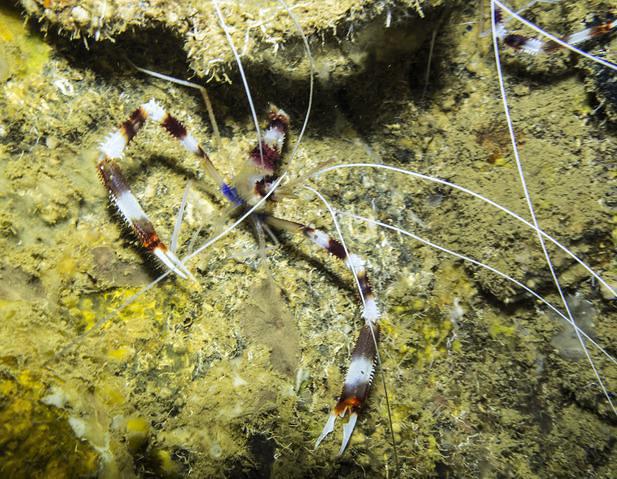 Fun & Sun Development Corp. - Dive Center