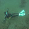 Picture taken during the dive