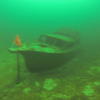 Picture taken during the dive