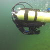 Picture taken during the dive