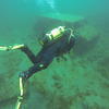 Picture taken during the dive