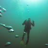 Picture taken during the dive