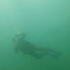 Picture taken during the dive