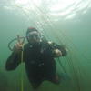 Picture taken during the dive