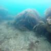 Picture taken during the dive