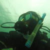 Picture taken during the dive