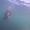 Picture taken during the dive