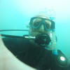 Picture taken during the dive