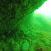 Picture taken during the dive