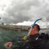 Picture taken during the dive