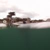 Picture taken during the dive