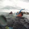 Picture taken during the dive