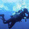 Picture taken during the dive
