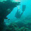 Picture taken during the dive