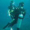 Picture taken during the dive