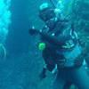 Picture taken during the dive