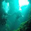 Picture taken during the dive