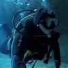Picture taken during the dive