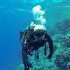 Picture taken during the dive