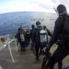 Picture taken during the dive