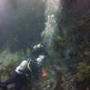 Picture taken during the dive
