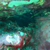 Picture taken during the dive