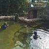 Picture taken during the dive