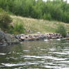 Picture taken during the dive
