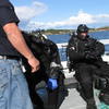 Picture taken during the dive