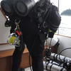 Picture taken during the dive