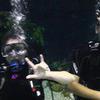 Picture taken during the dive