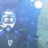 Picture taken during the dive