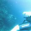 Picture taken during the dive