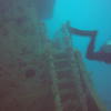 Picture taken during the dive