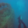 Picture taken during the dive