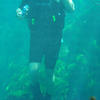 Picture taken during the dive