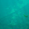 Picture taken during the dive
