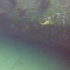 Picture taken during the dive