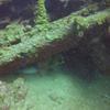 Picture taken during the dive