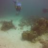 Picture taken during the dive