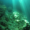 Picture taken during the dive