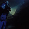 Picture taken during the dive