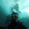 Picture taken during the dive