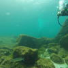 Picture taken during the dive